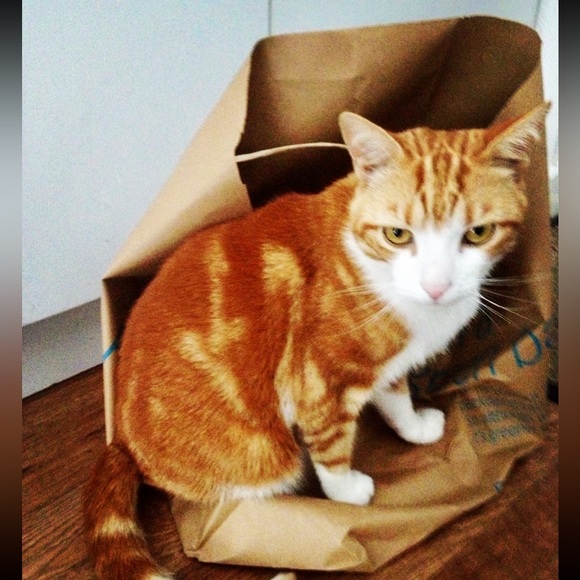 Meet your Posher, Brian - Picture 6 of 14